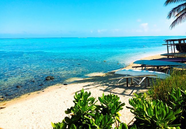 Bangalô em Haapiti - MOOREA - Fare Taina Nui