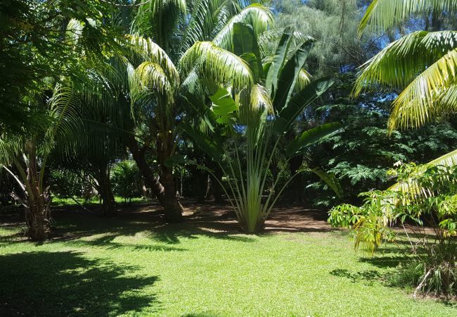 Bangalô em Raiatea - RAIATEA - Fare Apetahi Bangalô em Raiatea - RAIATEA - Fare Apetahi