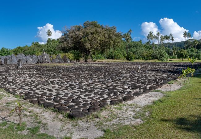 Bangalô em Raiatea - RAIATEA - Fare Apetahi Bangalô em Raiatea - RAIATEA - Fare Apetahi