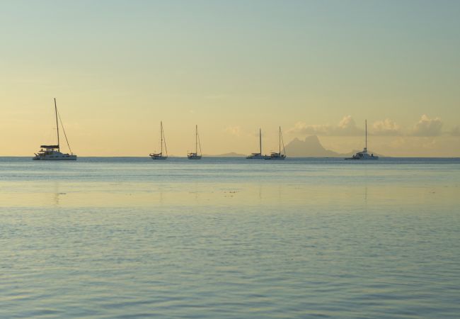 Bangalô em Raiatea - RAIATEA - Fare Ora Bangalô em Raiatea - RAIATEA - Fare Ora