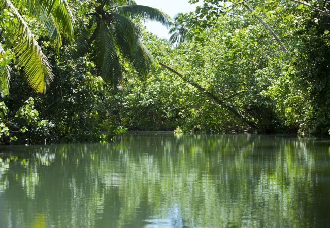 Bangalô em Raiatea - RAIATEA - Fare Ora Bangalô em Raiatea - RAIATEA - Fare Ora