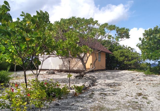 Bangalô em Fakarava  - FAKARAVA - Teariki Lodge 1