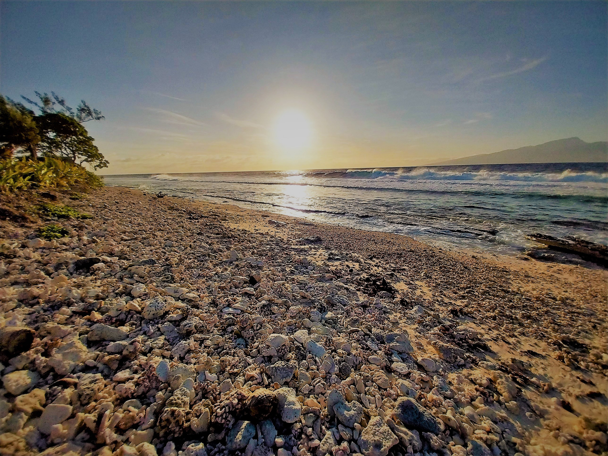 Vila em Temae - MOOREA - Toatea Beach Piti