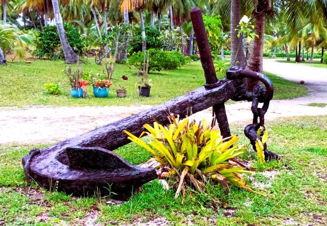 Bangalô em Tuherahera - TIKEHAU - Pink Dream Heaven 1 Bangalô em Tuherahera - TIKEHAU - Pink Dream Heaven 1