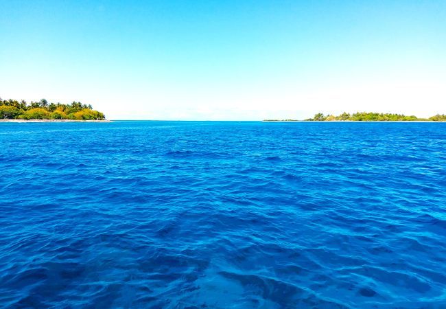 Bangalô em Tuherahera - TIKEHAU - Pink Dream Beach 2 Bangalô em Tuherahera - TIKEHAU - Pink Dream Beach 2