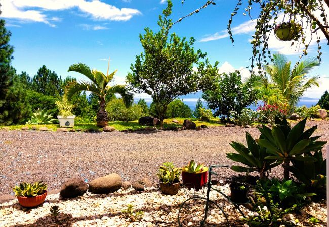 Villa em Punaauia - TAHITI HILLS LODGE - 16 pers