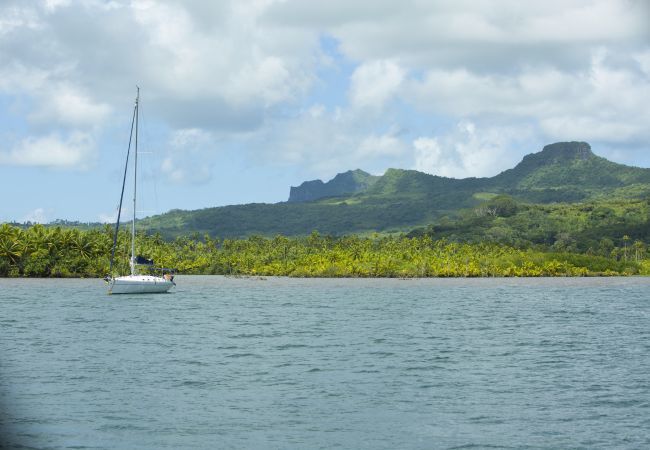 Bangalô em Raiatea - RAIATEA - Fare Coconut Bangalô em Raiatea - RAIATEA - Fare Coconut