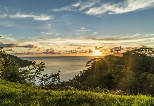 Bangalô em Raiatea - RAIATEA - Fare Feti'i Bangalô em Raiatea - RAIATEA - Fare Feti'i