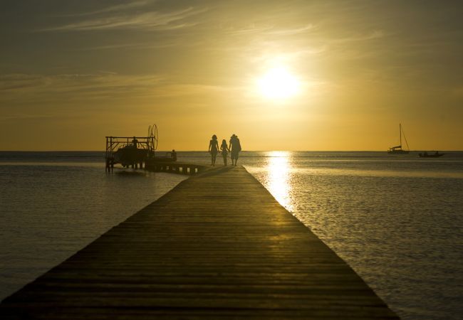 Bangalô em Raiatea - RAIATEA - Fare Feti'i Bangalô em Raiatea - RAIATEA - Fare Feti'i