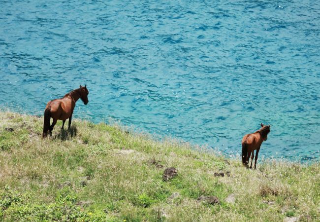 Bangalô em Vaipae’e - UA HUKA - Ha'e Pihiti Maha Bangalô em Vaipae’e - UA HUKA - Ha'e Pihiti Maha