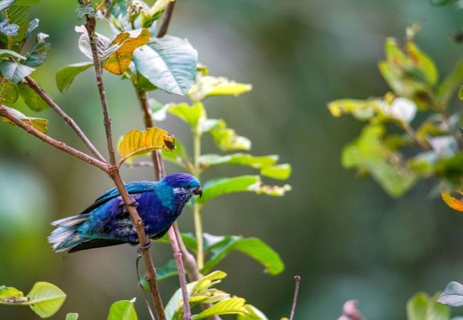Bangalô em Vaipae’e - UA HUKA - Ha'e Pihiti Piti Bangalô em Vaipae’e - UA HUKA - Ha'e Pihiti Piti