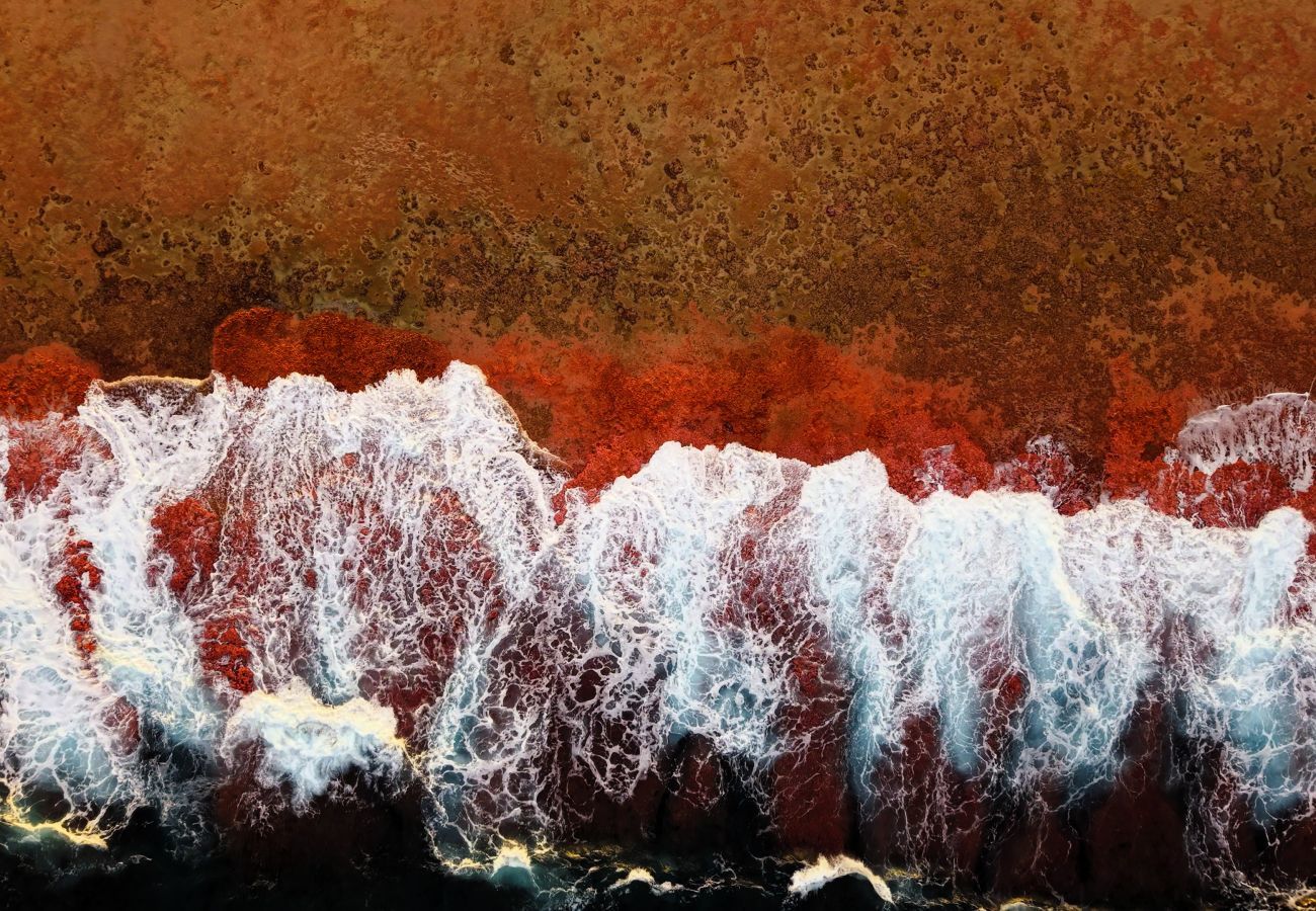 Bangalô em Fakarava  - FAKARAVA - Teariki Lodge 2