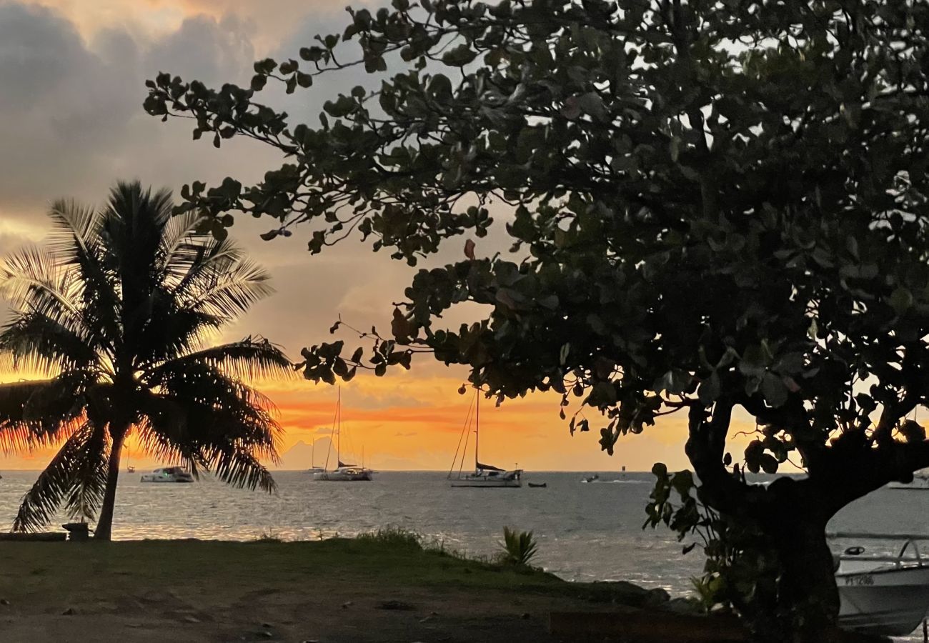 Bangalô em Uturoa - RAIATEA - Orion Pool Bungalow