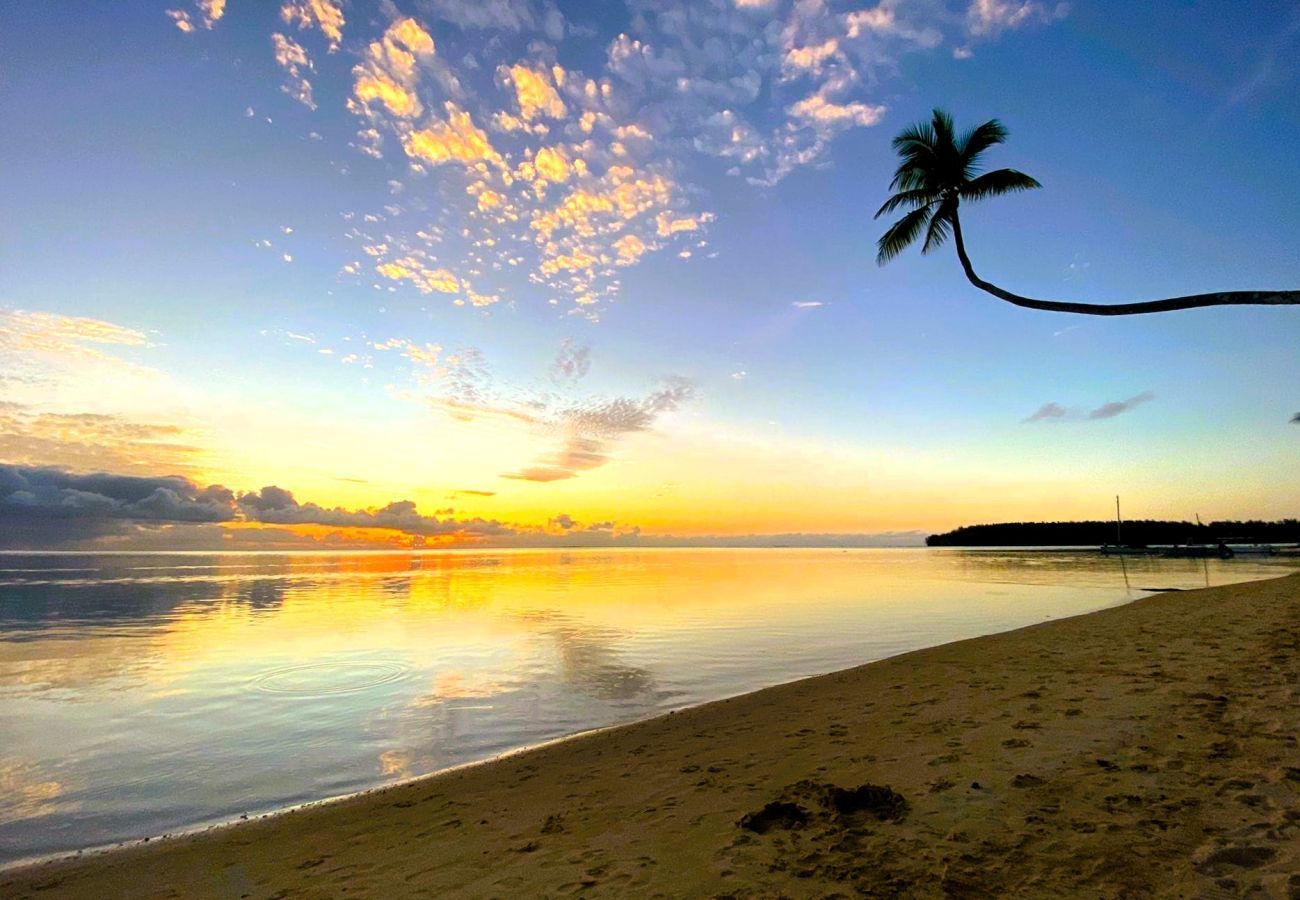Estúdio em Hauru - MOOREA - Tropical Nest