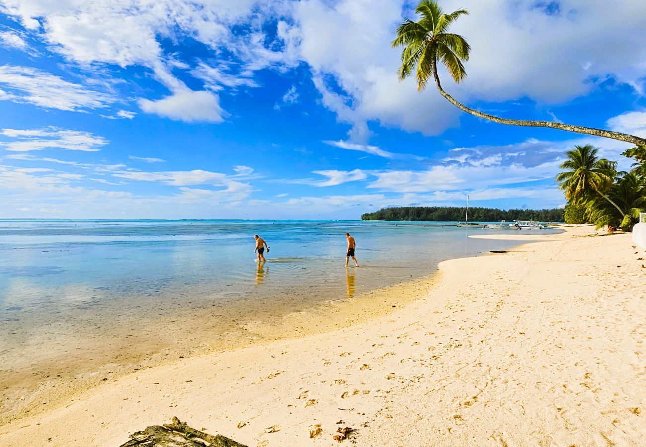Estúdio em Hauru - MOOREA - Tropical Nest
