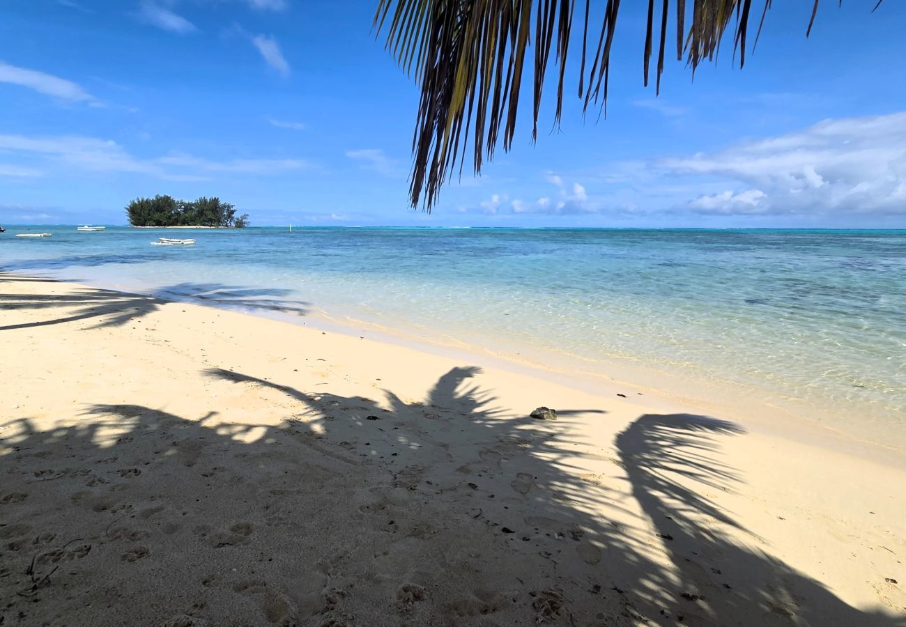 Estúdio em Hauru - MOOREA - Tropical Nest