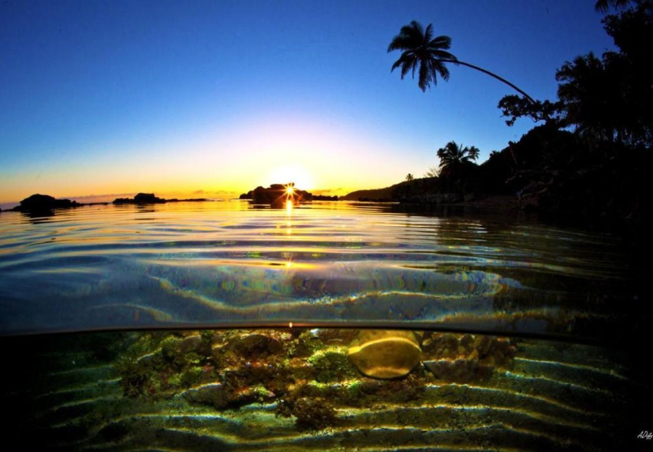 Bangalô em Afaahiti - TAHITI - Ariitea Beach & Pool
