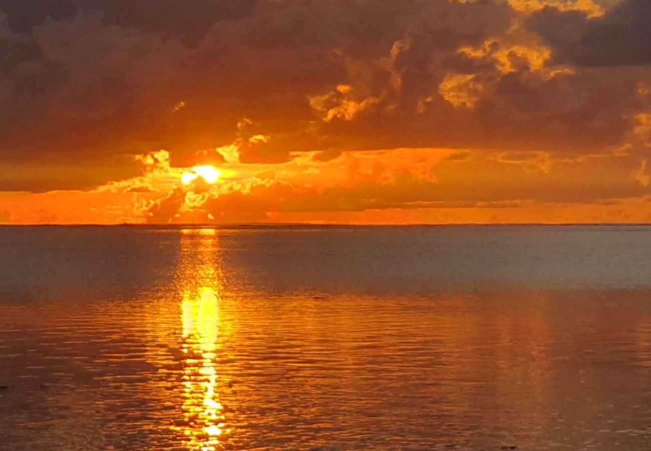 Estúdio em Hauru - MOOREA - Tropical Coral Cottage