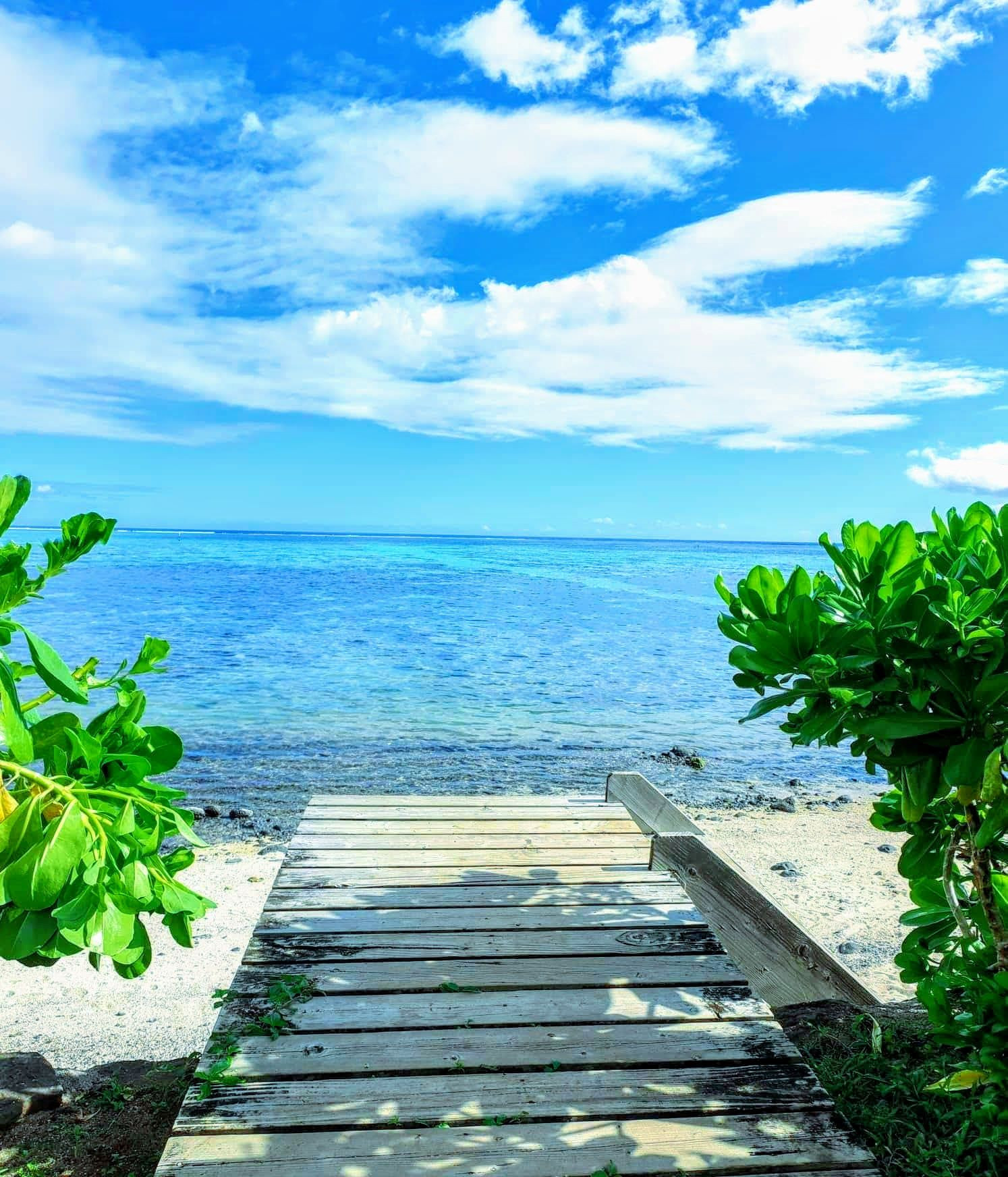 Der Blick auf einen Steg, um zum Strand zu gelangen