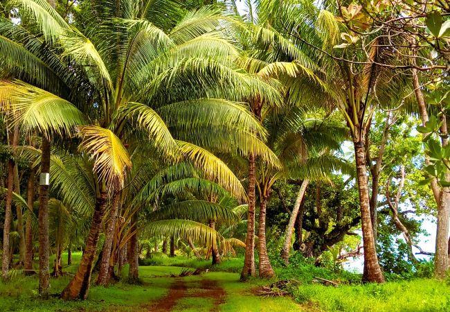 Villa in Niua - TAHAA - Villa Tehere Dream Beach front Villa in Niua - TAHAA - Villa Tehere Dream Beach front