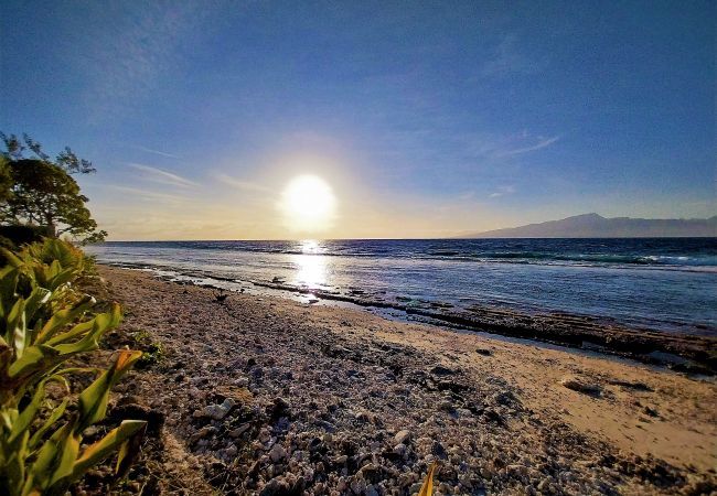 Der Blick auf den Strand von Temae