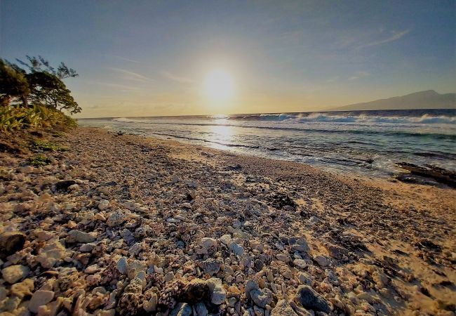 Der Blick auf den Strand von Temae