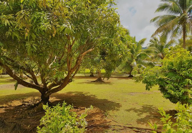 Ferienhaus in Huahine-Nui - HUAHINE - Tipanier House Ferienhaus in Huahine-Nui - HUAHINE - Tipanier House
