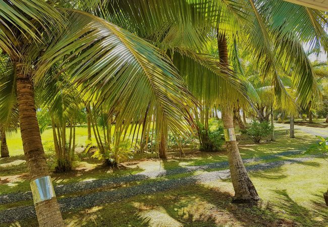 Ferienhaus in Huahine-Nui - HUAHINE - Tipanier House Ferienhaus in Huahine-Nui - HUAHINE - Tipanier House