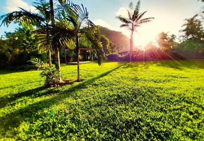 Ferienhaus in Mahina - TAHITI - Haumaru Beach Fare