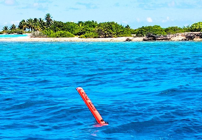 Bungalow in Tuherahera - TIKEHAU - Pink Dream Heaven 2 Bungalow in Tuherahera - TIKEHAU - Pink Dream Heaven 2