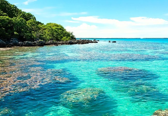 Bungalow in Tuherahera - TIKEHAU - Pink Dream Family 2 Bungalow in Tuherahera - TIKEHAU - Pink Dream Family 2