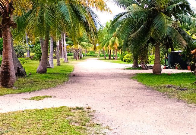 Bungalow in Tuherahera - TIKEHAU - Pink Dream Family 2 Bungalow in Tuherahera - TIKEHAU - Pink Dream Family 2