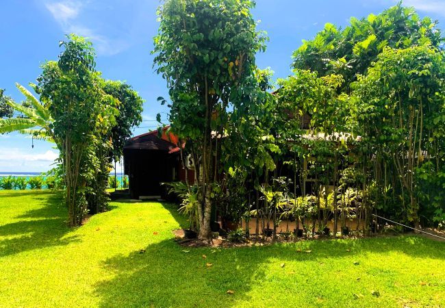 Ferienhaus in Punaauia - TAHITI - VAIAVA Beach Cottage Ferienhaus in Punaauia - TAHITI - VAIAVA Beach Cottage