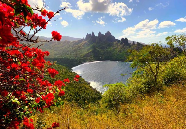 Zimmeranmietung in Taiohae - NUKU HIVA - Te Reo Nuku Ha Zimmeranmietung in Taiohae - NUKU HIVA - Te Reo Nuku Ha