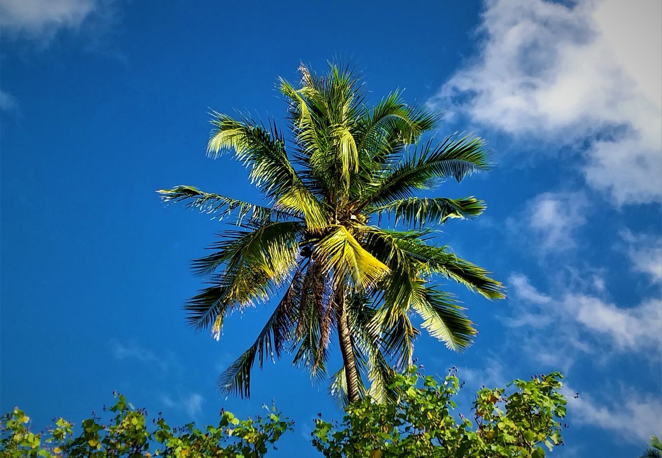 Villa in Temae - MOOREA - Toatea Beach Villa