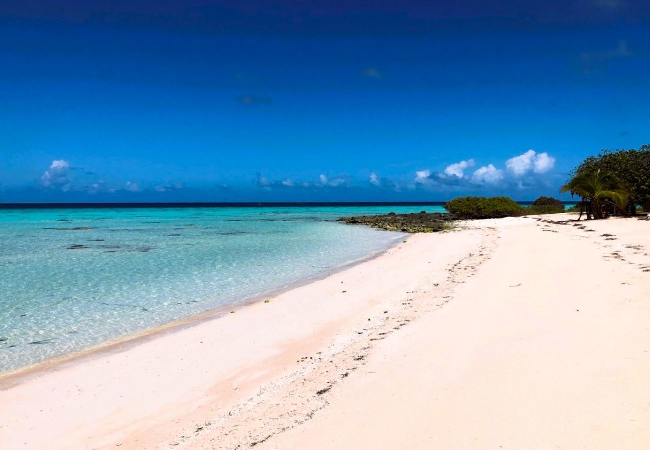 Bungalow in Makemo - MAKEMO - The Lost Paradise Beach Piti