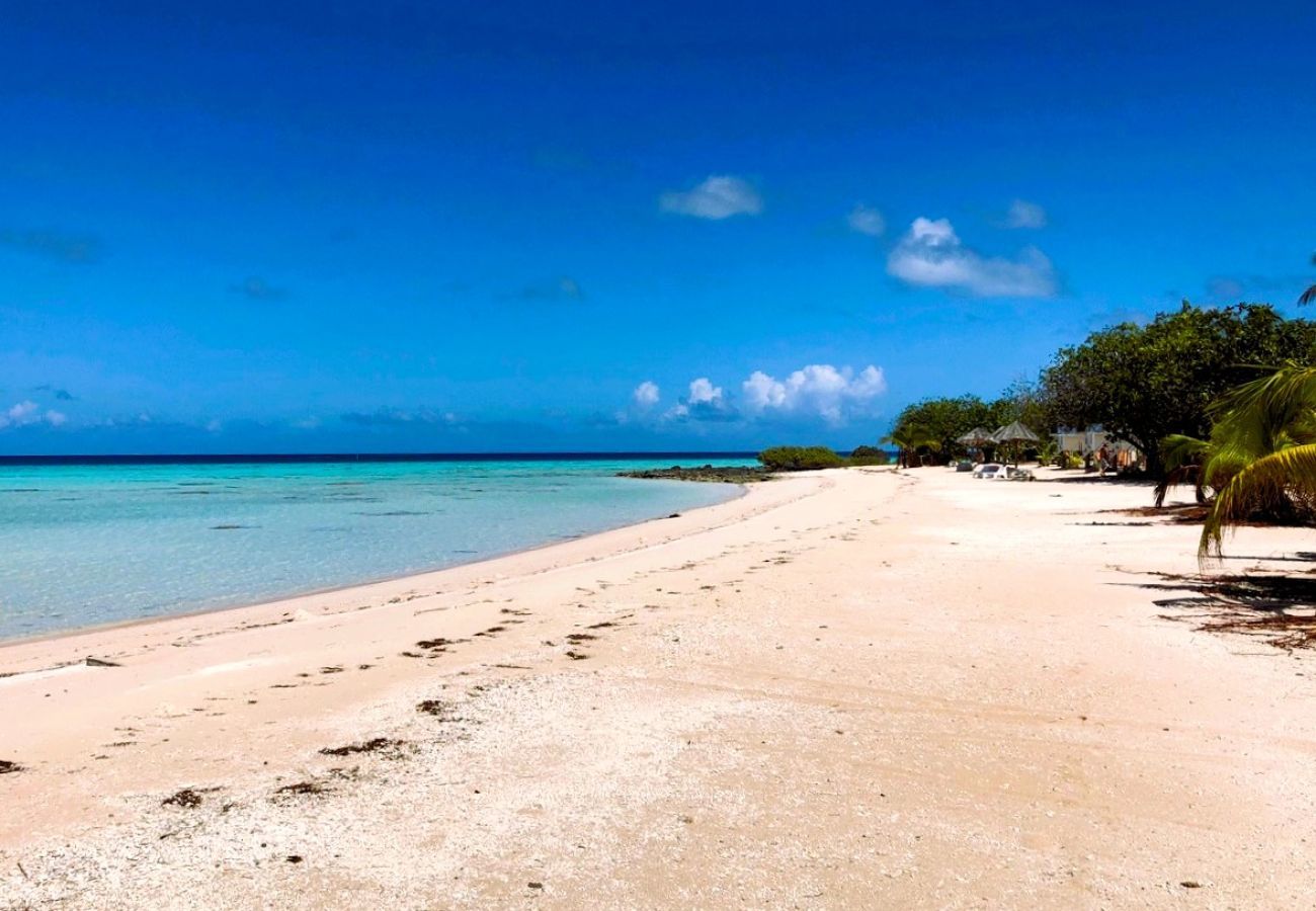 Bungalow in Makemo - MAKEMO - The Lost Paradise Beach Piti