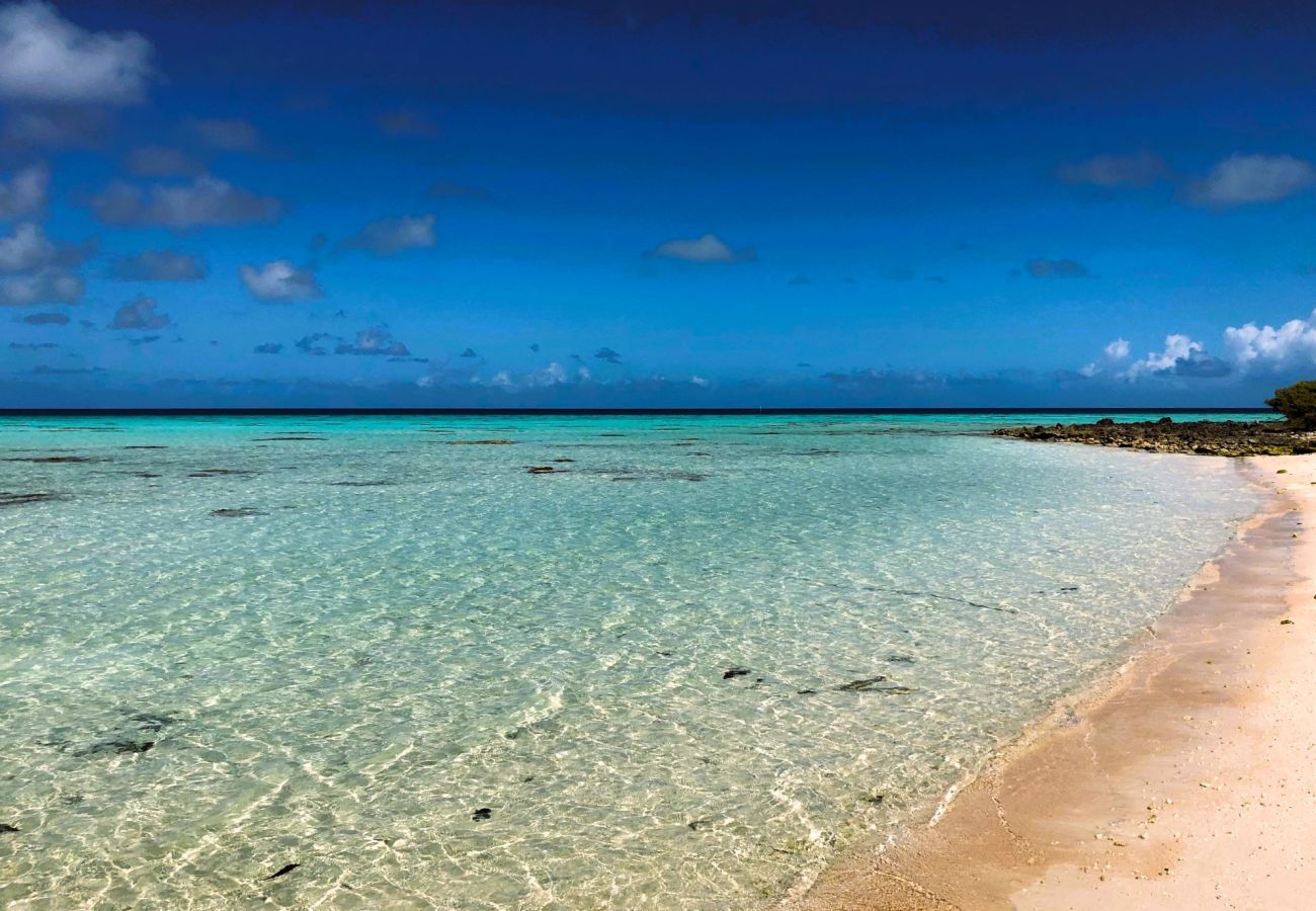 Bungalow in Makemo - MAKEMO - The Lost Paradise Beach Piti