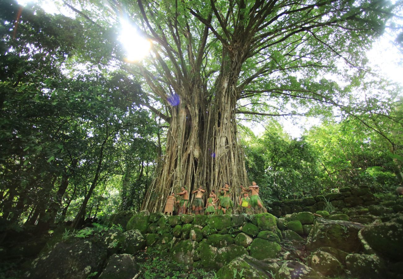 Zimmeranmietung in Taiohae - NUKU HIVA - Te Reo Nuku Garden Hoe