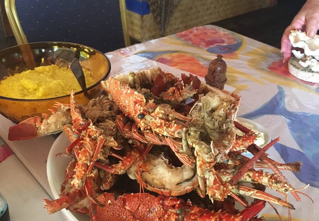 Zimmeranmietung in Tuherahera - TIKEHAU - Kaha Beach Family