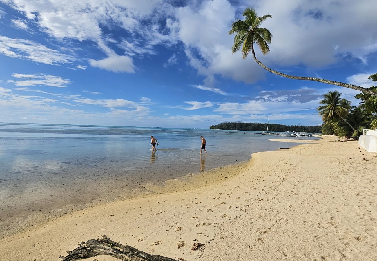 Studio in Hauru - MOOREA - Tropical Coral Cottage