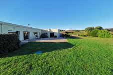 The view of the garden 
