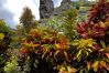 Rent by room in Hanavave - FATU HIVA - Hanavave Room 2 Rent by room in Hanavave - FATU HIVA - Hanavave Room 2