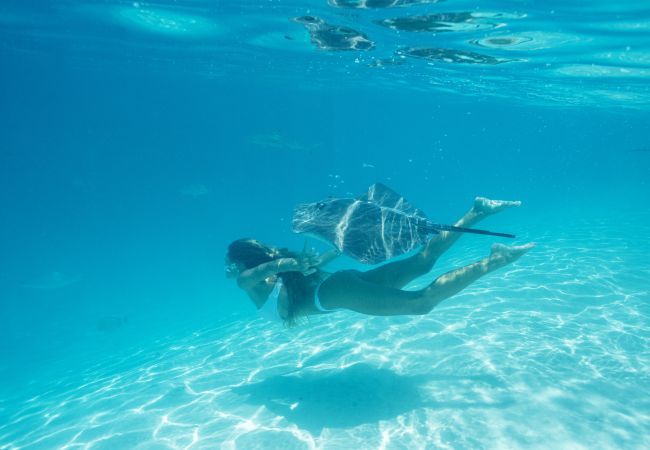 House in Paopao - MOOREA - Paopao Pool Mountain House in Paopao - MOOREA - Paopao Pool Mountain