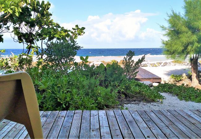 Bungalow in Fakarava  - FAKARAVA - Teariki Lodge 2