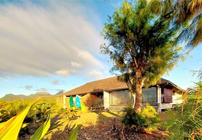 The view of the house 