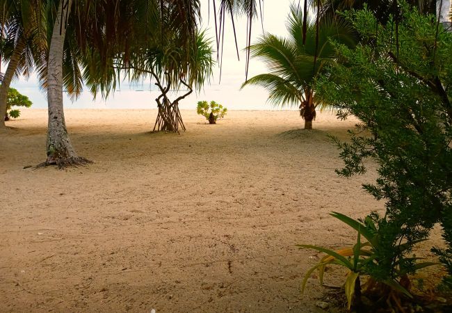 Bungalow in Tuherahera - TIKEHAU - Pink Dream Family 1 Bungalow in Tuherahera - TIKEHAU - Pink Dream Family 1