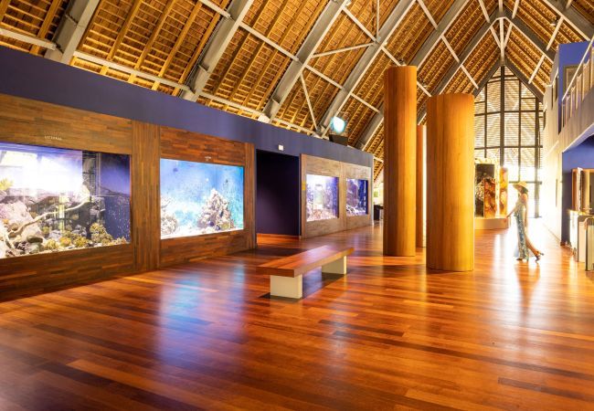 Bungalow in Pihaena - MOOREA - The SERENITY Creek spa Bungalow in Pihaena - MOOREA - The SERENITY Creek spa