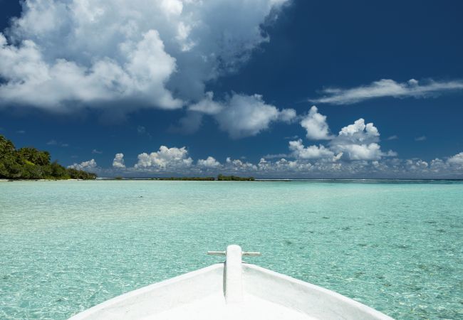 Bungalow in Pihaena - MOOREA - The SERENITY Creek spa Bungalow in Pihaena - MOOREA - The SERENITY Creek spa