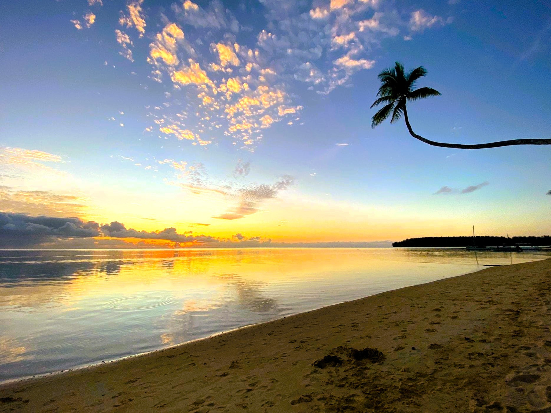  in Hauru - MOOREA - Tropical Nest